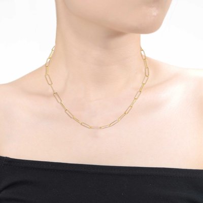 Triomphe Golden Clip Chain Necklace - 14K Gold