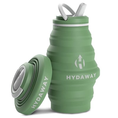 17oz Collapsible Water Bottle - Fern