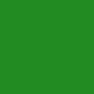 EPAM-M-YM-Color_swatch3