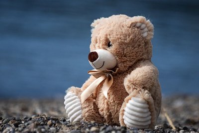 Teddy at the sea! - mercury
