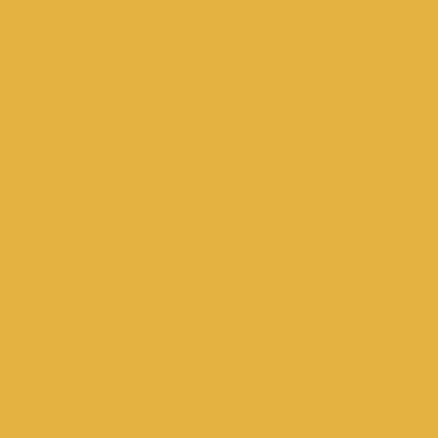 EPAM-M-YM-24colorswatch-size-16-2