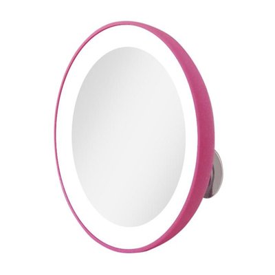 Lighted Compact Mirror with Magnification & Suction Cup