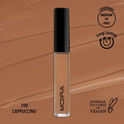 Lavish Creamy Concealer