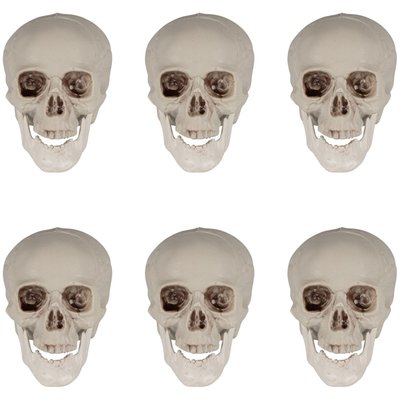 Skeleton Skulls Halloween Decorations - 4.5" - Set of 6