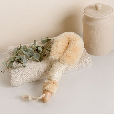 Dry Body Brush