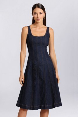 Denim Fit-and-flare Midi Dress