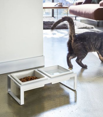 Pet Food Bowl