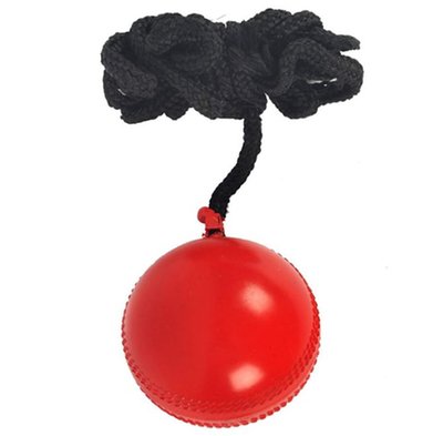 Cord Cricket Hanging Ball