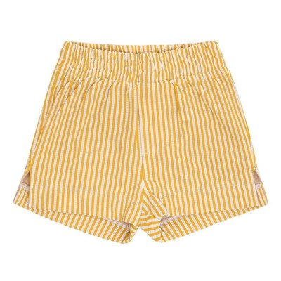 Canary Stripe Mini Swim Trunk