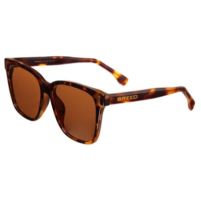 Linux Polarized Sunglasses