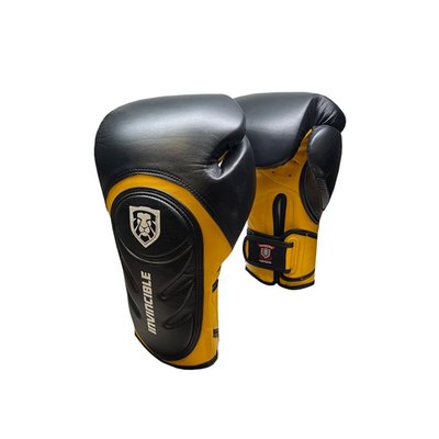Invincible Fight Gear Professional Hook And Loop Leather