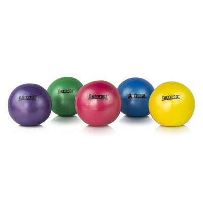 Lbs Hand Held Weight Ball