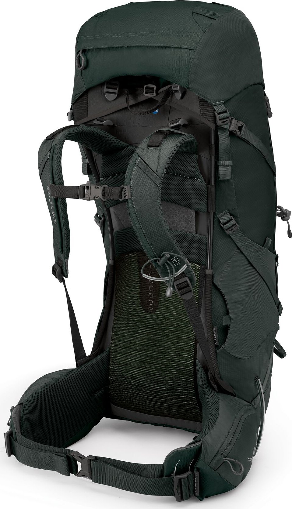 Osprey volt 60l best sale