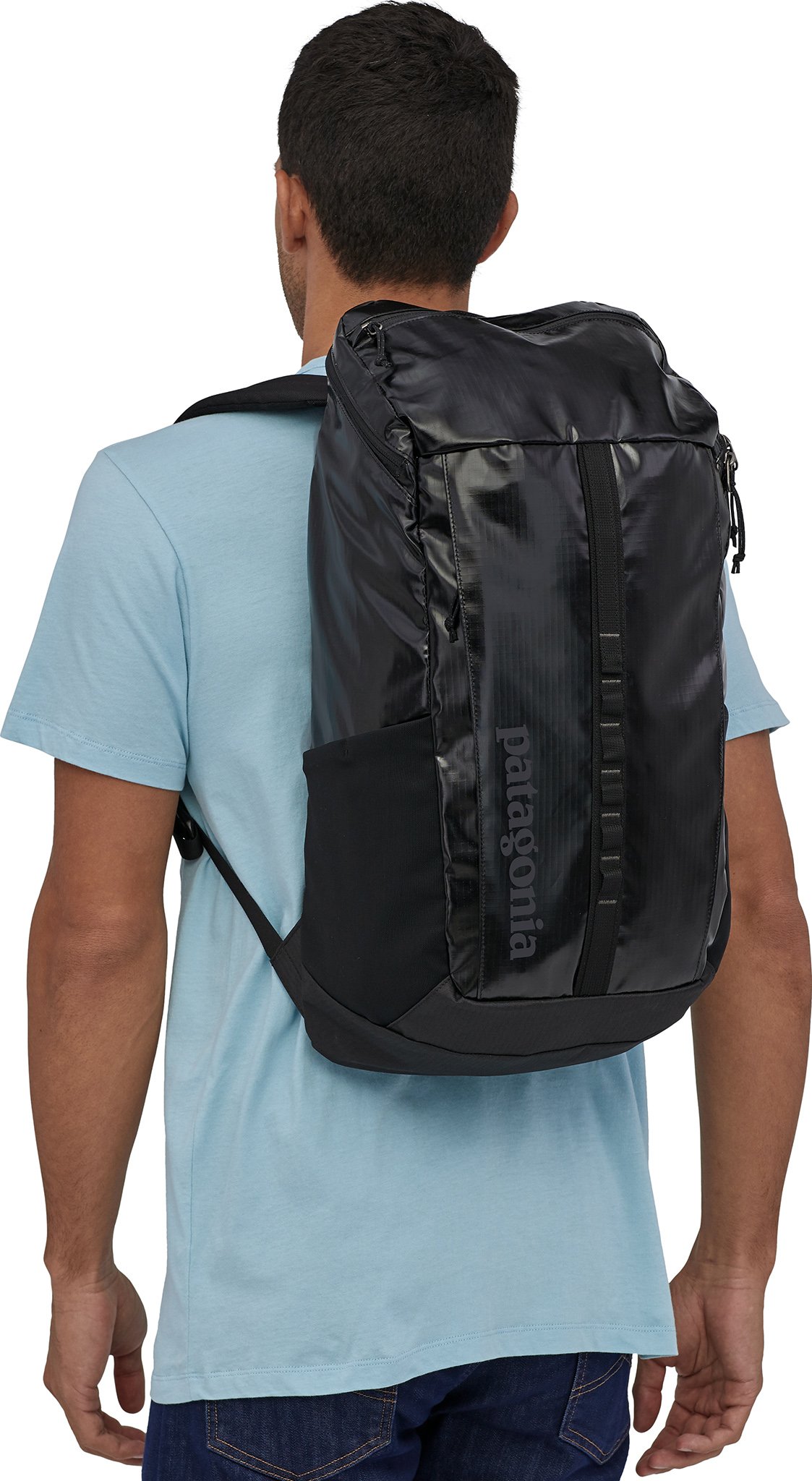 Patagonia Black Hole Pack 25L The Last Hunt