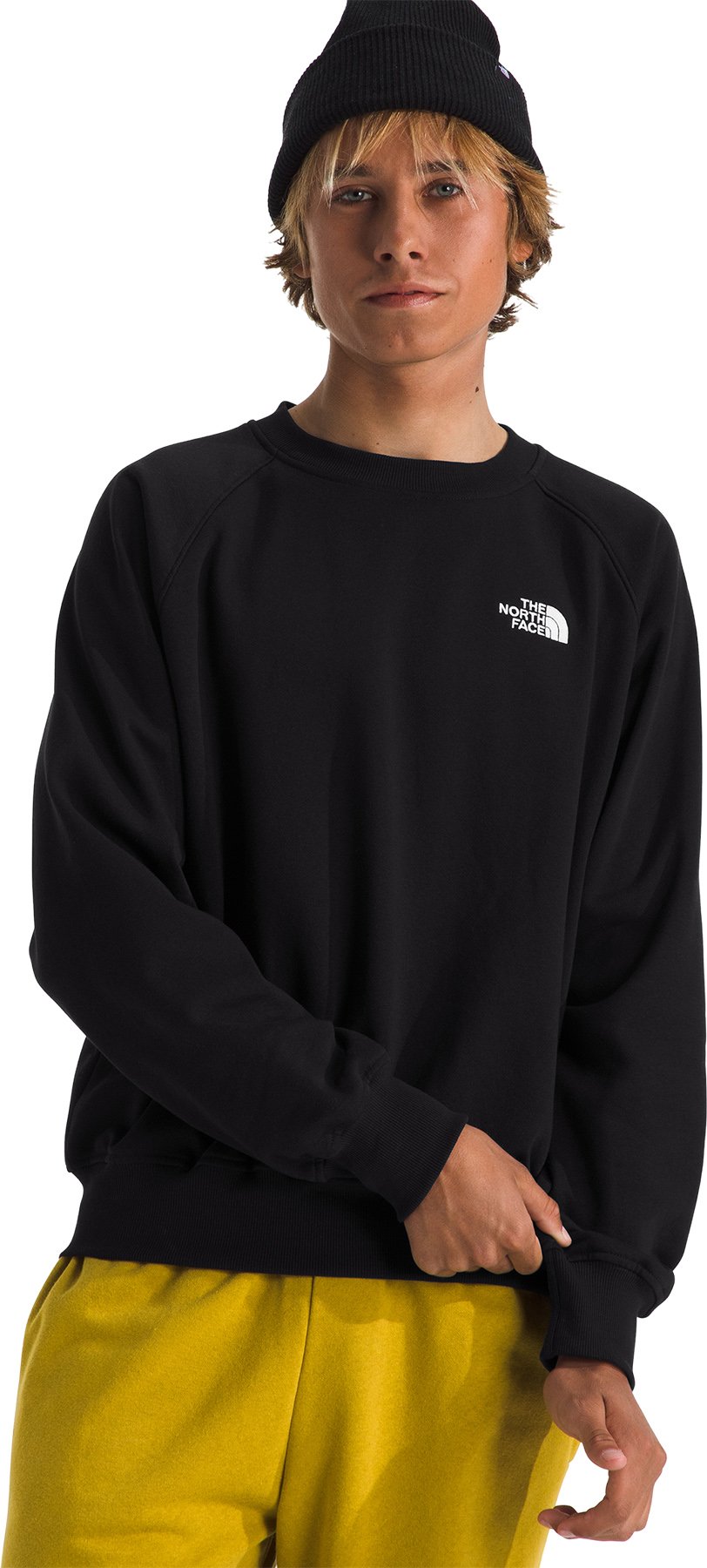 The North Face HMLYN 30 Anniversary Parka / Moonstone | JD