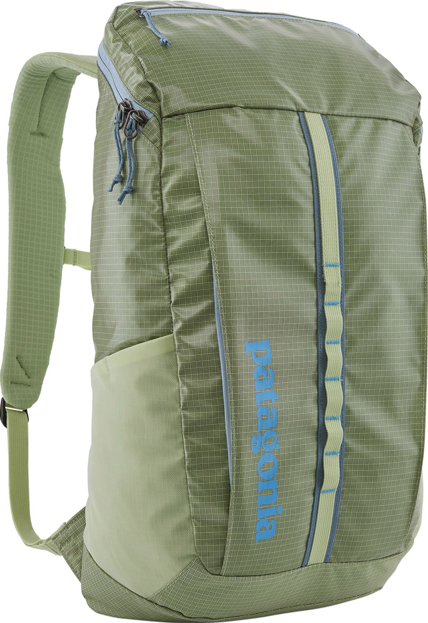 Patagonia black hole pack 25l birch white hotsell