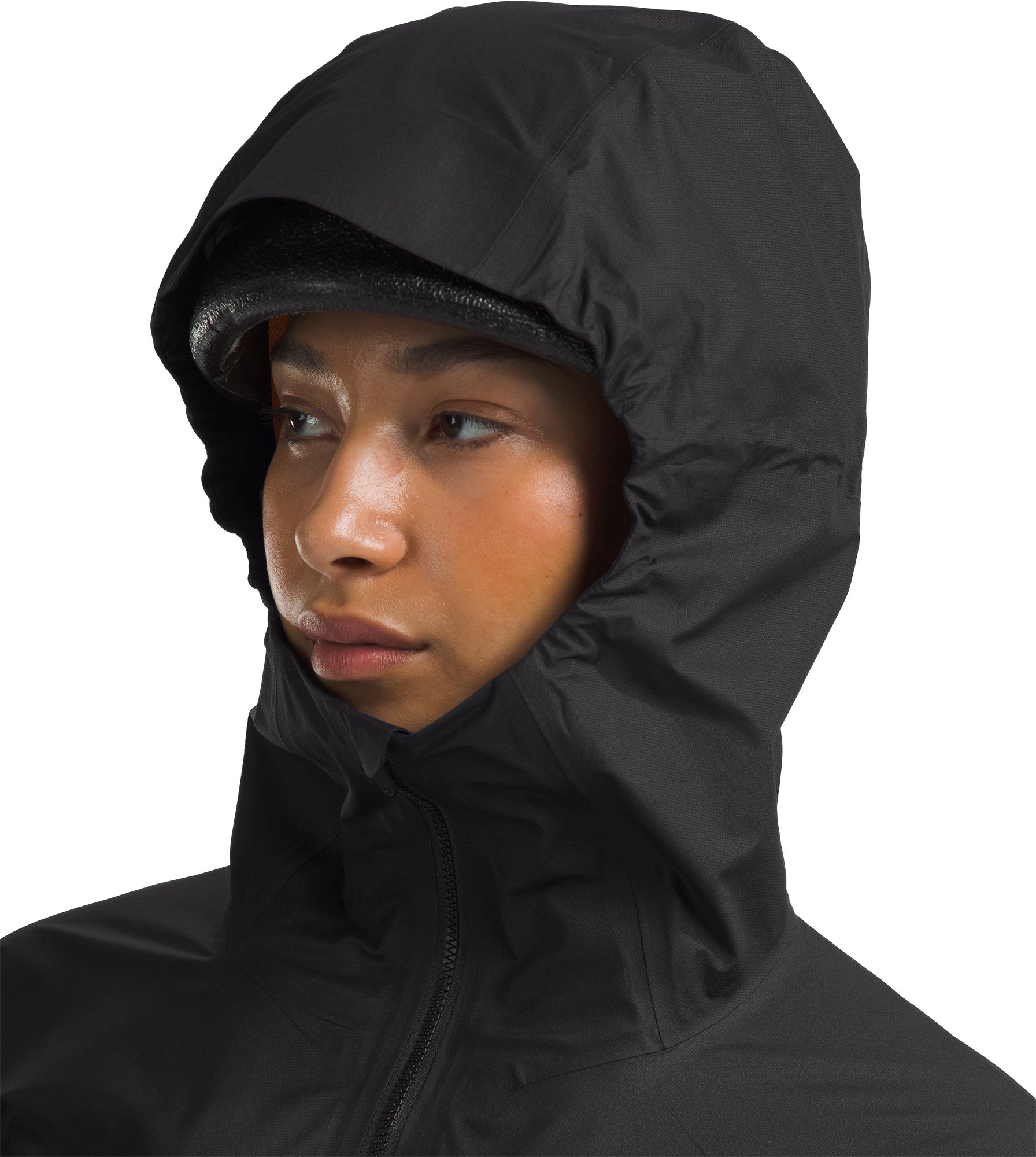 THE NORTH FACE - VISION✨TNF バラクラバ サミットロゴ Lサイズ✨ セール】国内未発売 THE NORTH FACE(ザ・ノースフェイス)/ロゴ