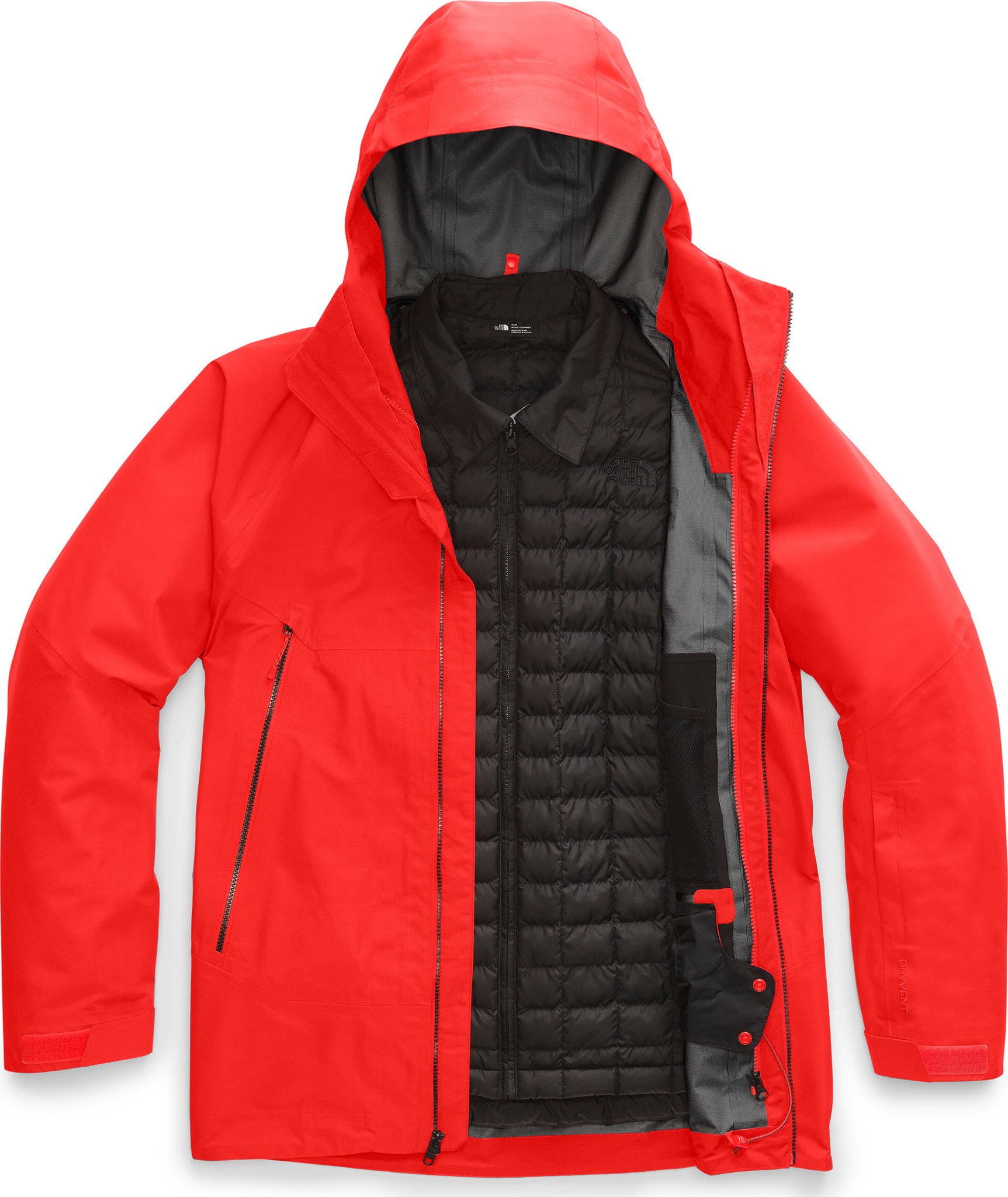 North face alligare online