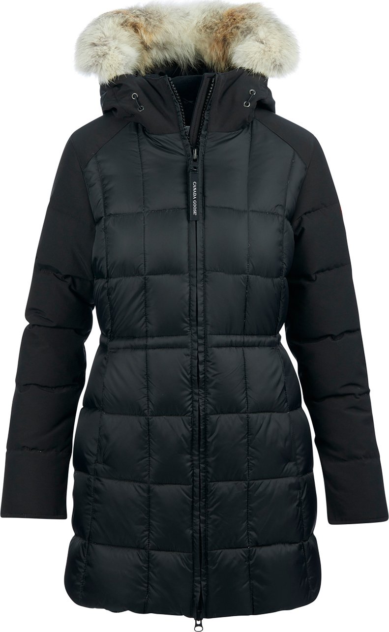 Canada goose beechwood online