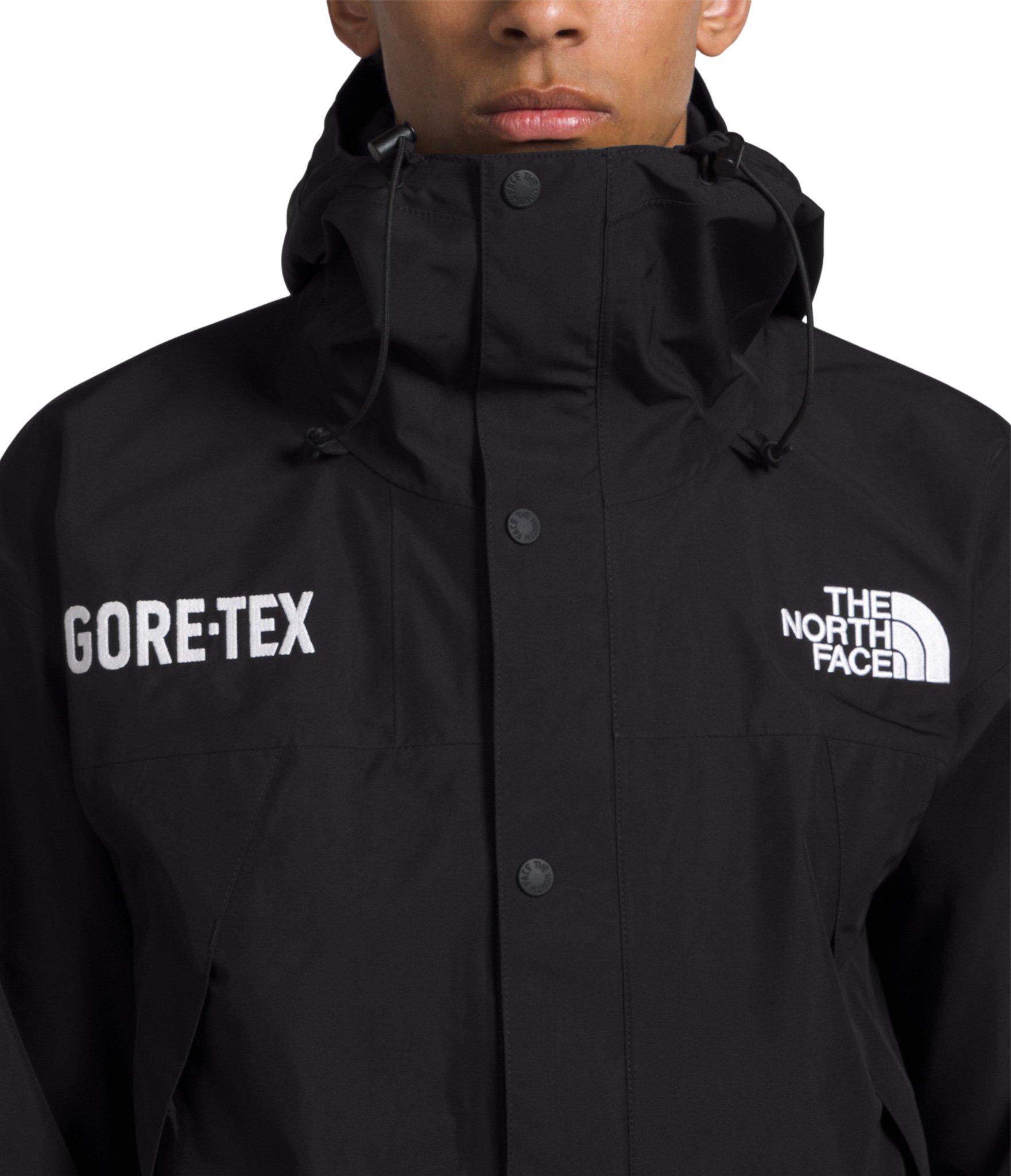 The North Face GORE-TEX Mountain Jacket - Men's | The Last Hunt