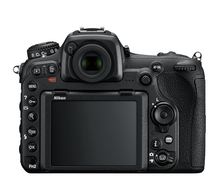 Nikon D500 | DSLR Cameras | Nikon USA