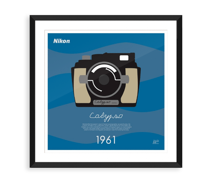Nikon Nikon 100th Anniversary Posters | DSLR Camera Accessories