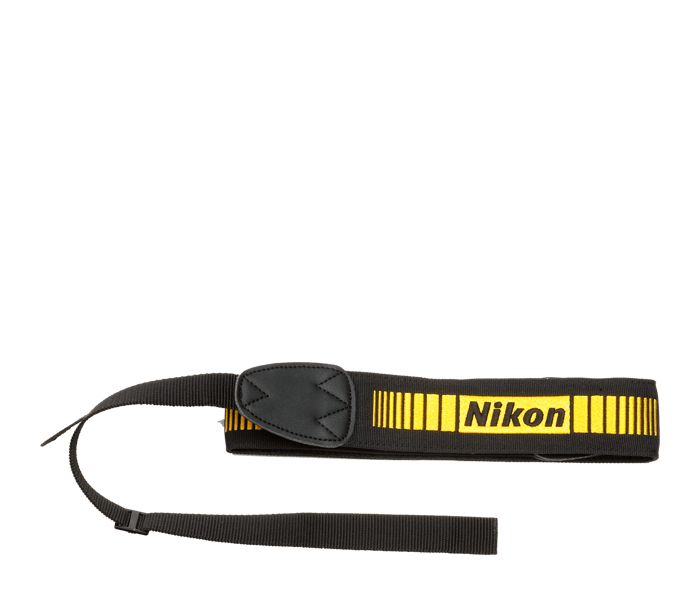 Nikon AF-S Nikkor 300mm f/4D IF-ED | DSLR Lenses | Nikon USA