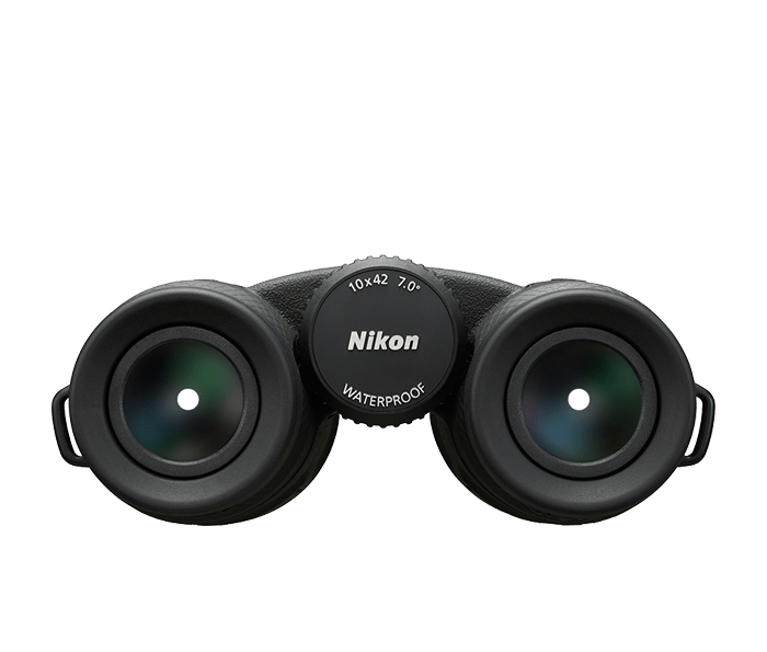 NikonD50 D70 2点 NIKON D50 + SIGMA DC 17-70mm f2.8-4.5 再び | 今だから