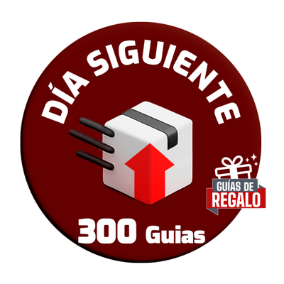Combo 300 Guías Día Siguiente con 30 guías de REGALO